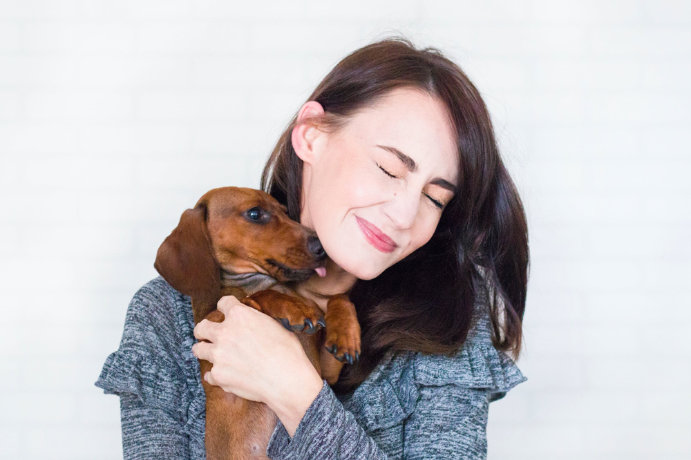 Safety Factors for Traveling With Pets